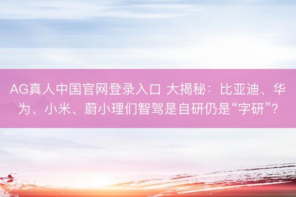 AG真人中国官网登录入口 大揭秘:比亚迪、华为、小米、蔚小理们智驾是自研仍是“字研”?