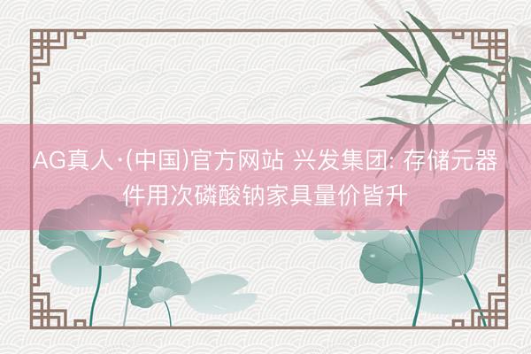 AG真人·(中国)官方网站 兴发集团: 存储元器件用次磷酸钠家具量价皆升